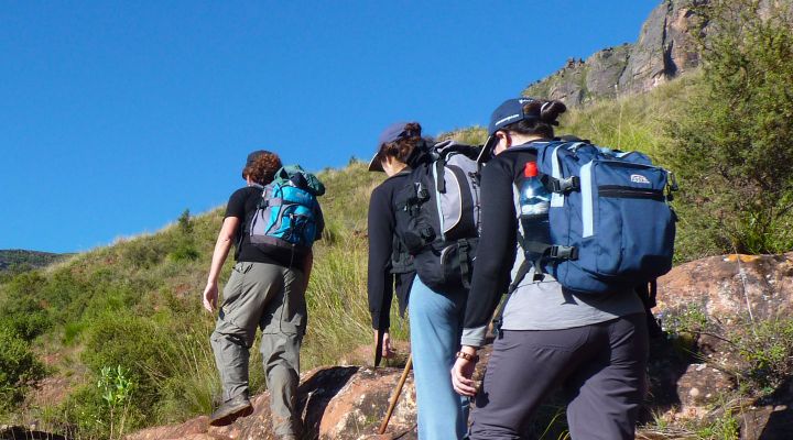 Excursiones